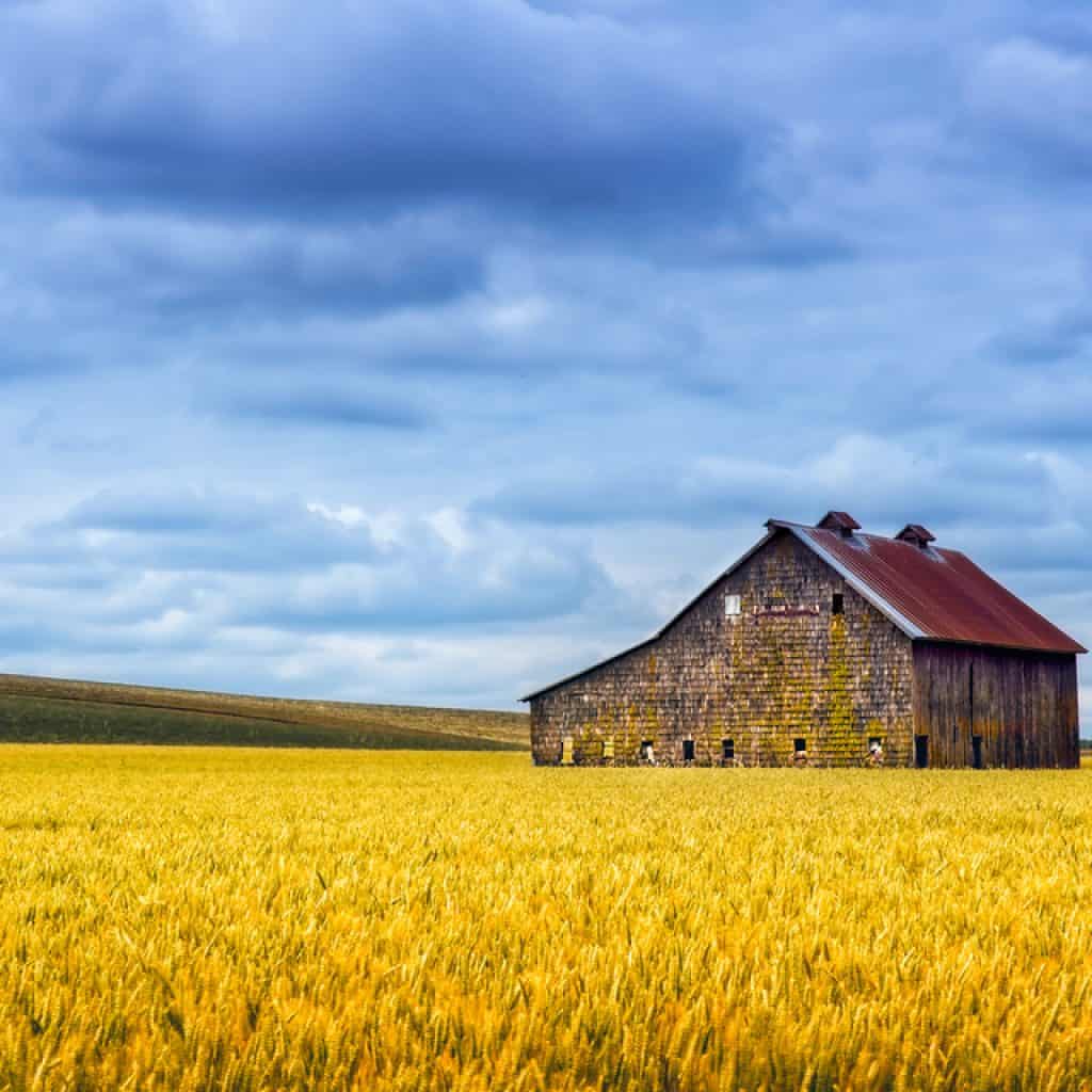 Barn Stars - Barn painting and repair service