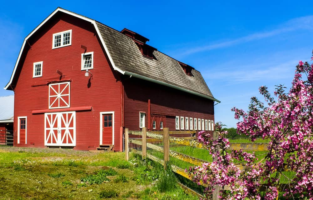 Barn Painting and Repair 