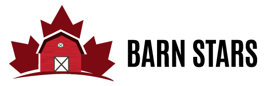 Barn Stars Logo