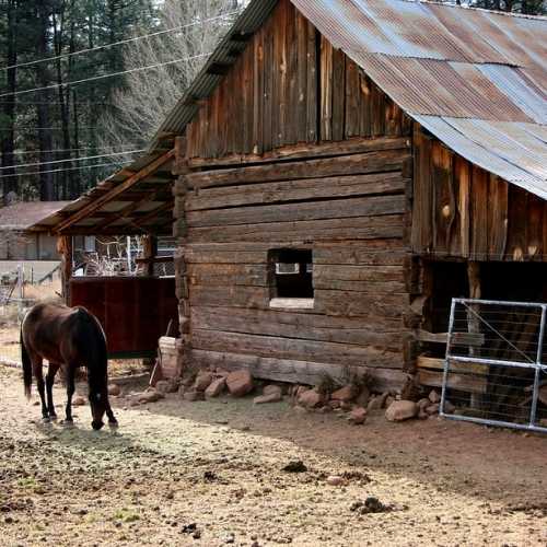 barn painters ontario