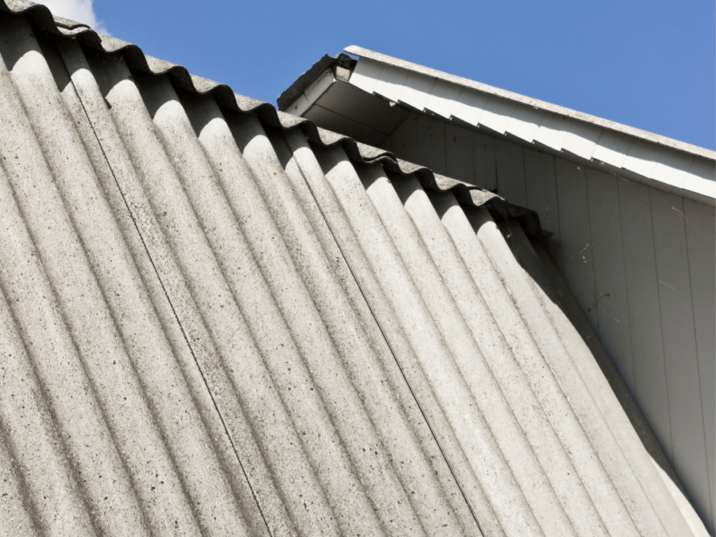 steel roof painting