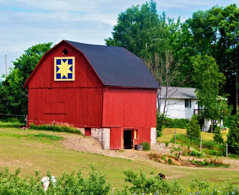 Barn Quilt Painting Everything You Need to Know